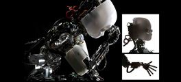 wpid-1452_artificiale.jpg