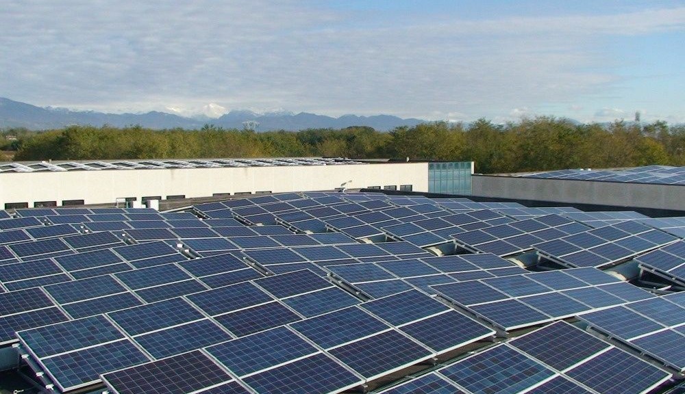 wpid-20502_.jpg