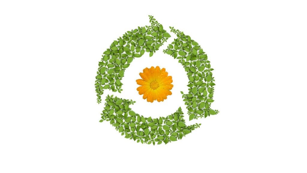wpid-21578_lifecycle.jpg