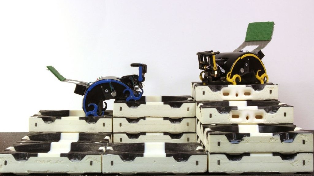 wpid-21732_robotharvardtermes.jpg