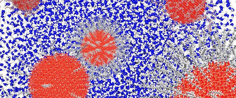 wpid-22525_nanoscala.jpg