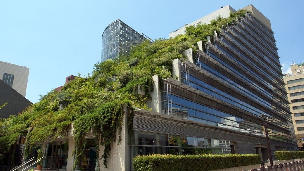 wpid-23949_tettoverde.jpg
