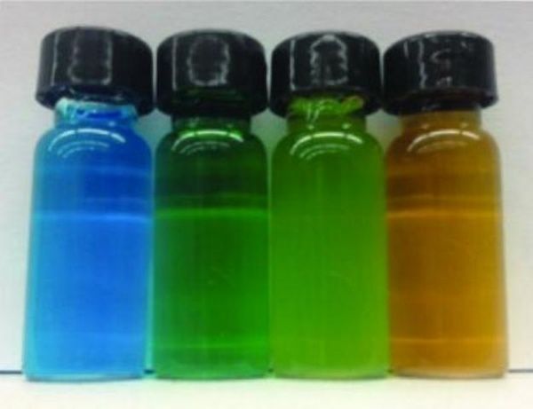 wpid-23999_nanosucchibuffalo.jpg