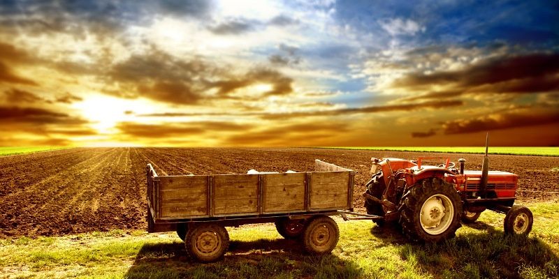 wpid-24227_agricoltura.jpg