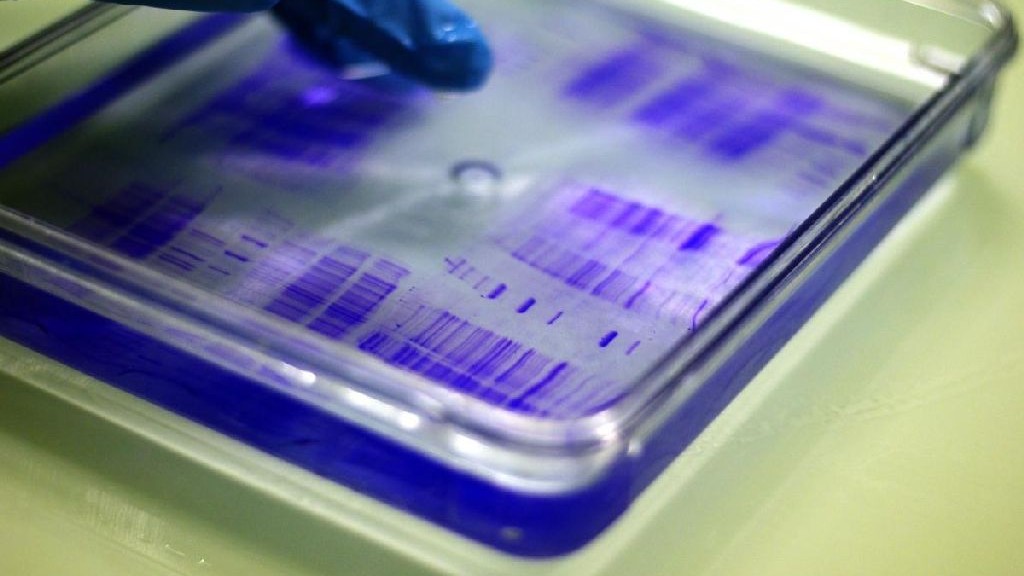 wpid-24841_biotecologie.jpg