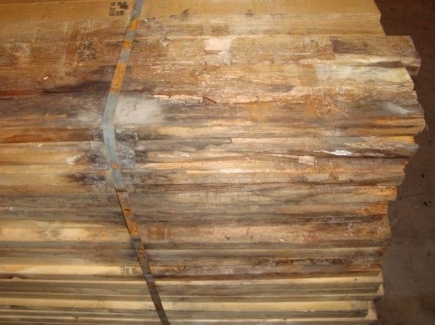 wpid-26517_legno.jpg