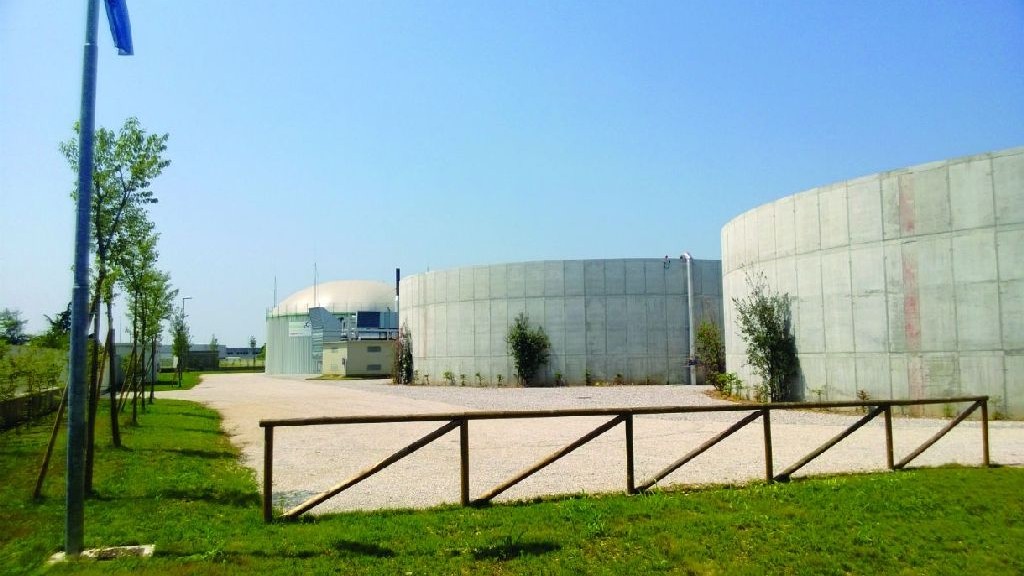 wpid-26763_bertioloudinebiomassa.jpg
