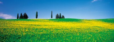 wpid-3555_toscana.jpg