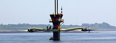 wpid-4263_marine.jpg