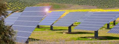 wpid-4978_rinnovabile.jpg