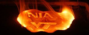 wpid-4_mattonelunare.jpg