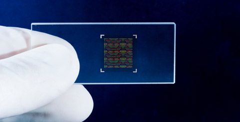wpid-8941_nanotech.jpg