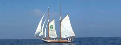 wpid-9533_legambientebarca.jpg