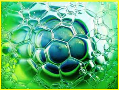 wpid-9564_biofuelssperiamo.jpg