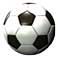wpid-pallone.jpg