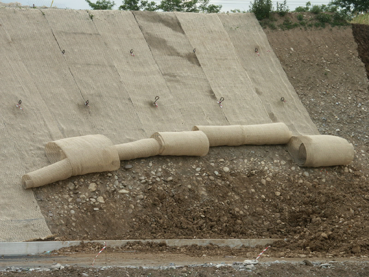 geostuoia