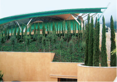 Verde pensile, Chiesa di Padre Pio a San Giovanni Rotondo, progetto architettonico di Renzo Piano (Foto Archivio Studio Tecnogreen)