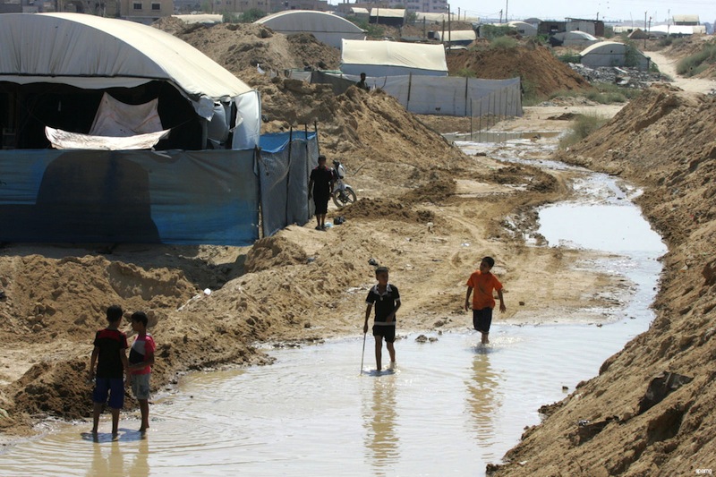 palestina