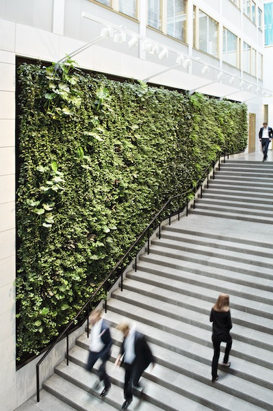 Verde_verticale_fig-2