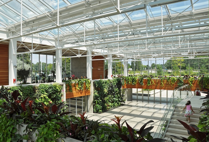 Diamond and Schmitt Architects, Royal Botanical Gardens, Burlington (Ontario, USA), 2010. Le due pareti verdi sono state eseguite con la tecnica del BioWall. Dall’immagine è comprensibile come seppur tale installazione presenti un’importante valenza funzionale, essa sia del tutto simile, nella sua risultante estetica e di rappresentanza, ad un qualsiasi altro muro vegetale. (Credits: Elizabeth Gyde, Diamond and Schmitt Architects. Fonte: Green Roofs for Healthy Cities – www.greenroofs.org)