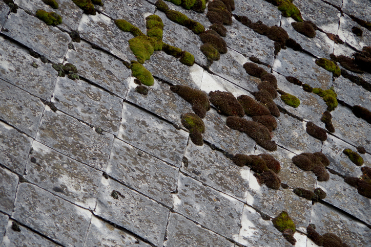 Eternit roof