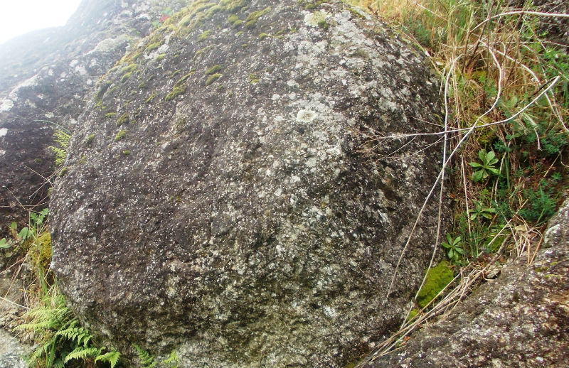 rocce