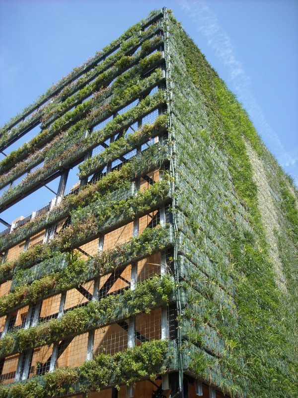Vivers Ter, Espai Tabacalera, Terragona (Spagna), 2011: dettaglio dell’inverdimento. L’installazione del sistema Babylon su una superficie di 2500 m² consente di fitodepurare l’acqua saponata prodotta conseguentemente all’utilizzo dell’intero fabbricato. (Credits: Josep Lluis Puig)