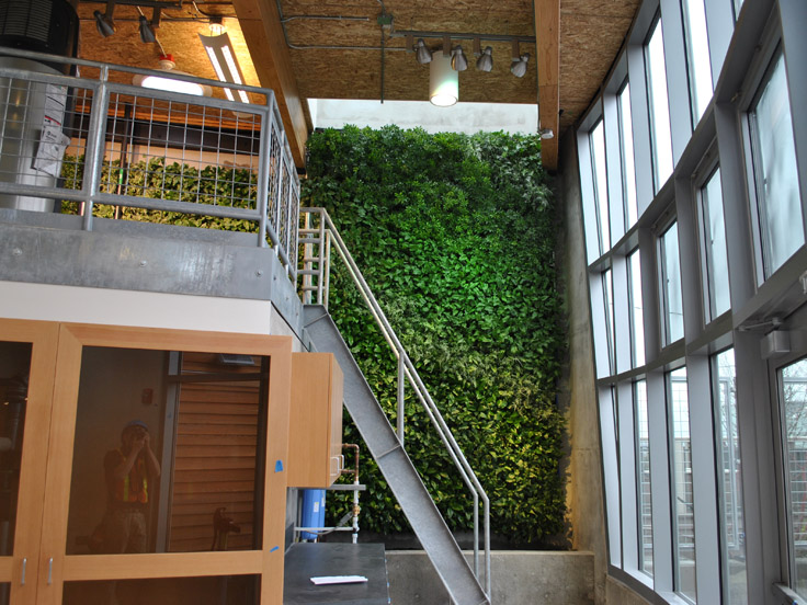 KMD Architects, Bertschi School, Seattle (USA), 2011. L’inverdimento parietale realizzato dalla ditta nordamericana G-SKY provvede alla depurazione di tutte le acque saponate prodotte nella scuola. I vani tecnici necessitati dal sistema si trovano nello zoccolo basamentale della parete e nel sottoscala. (Credits: http://gsky.com/projects/bertschi-school)