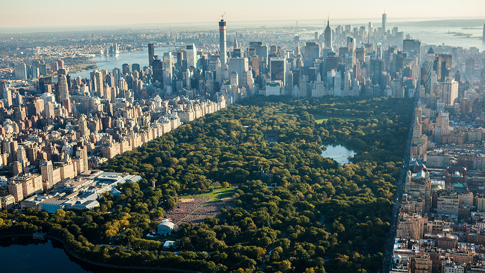 Central Park, Manhattan, New York