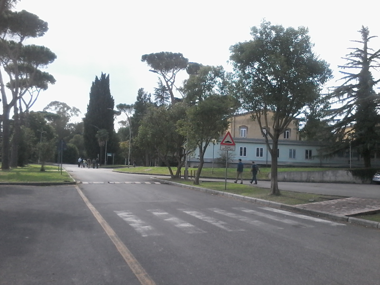 Figura 4
