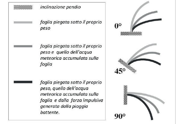 figura 1