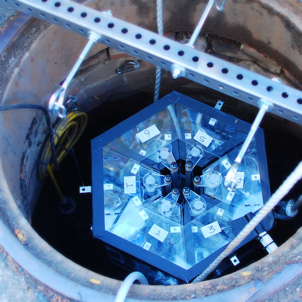 © MIT Senseable City Lab and Alm Lab