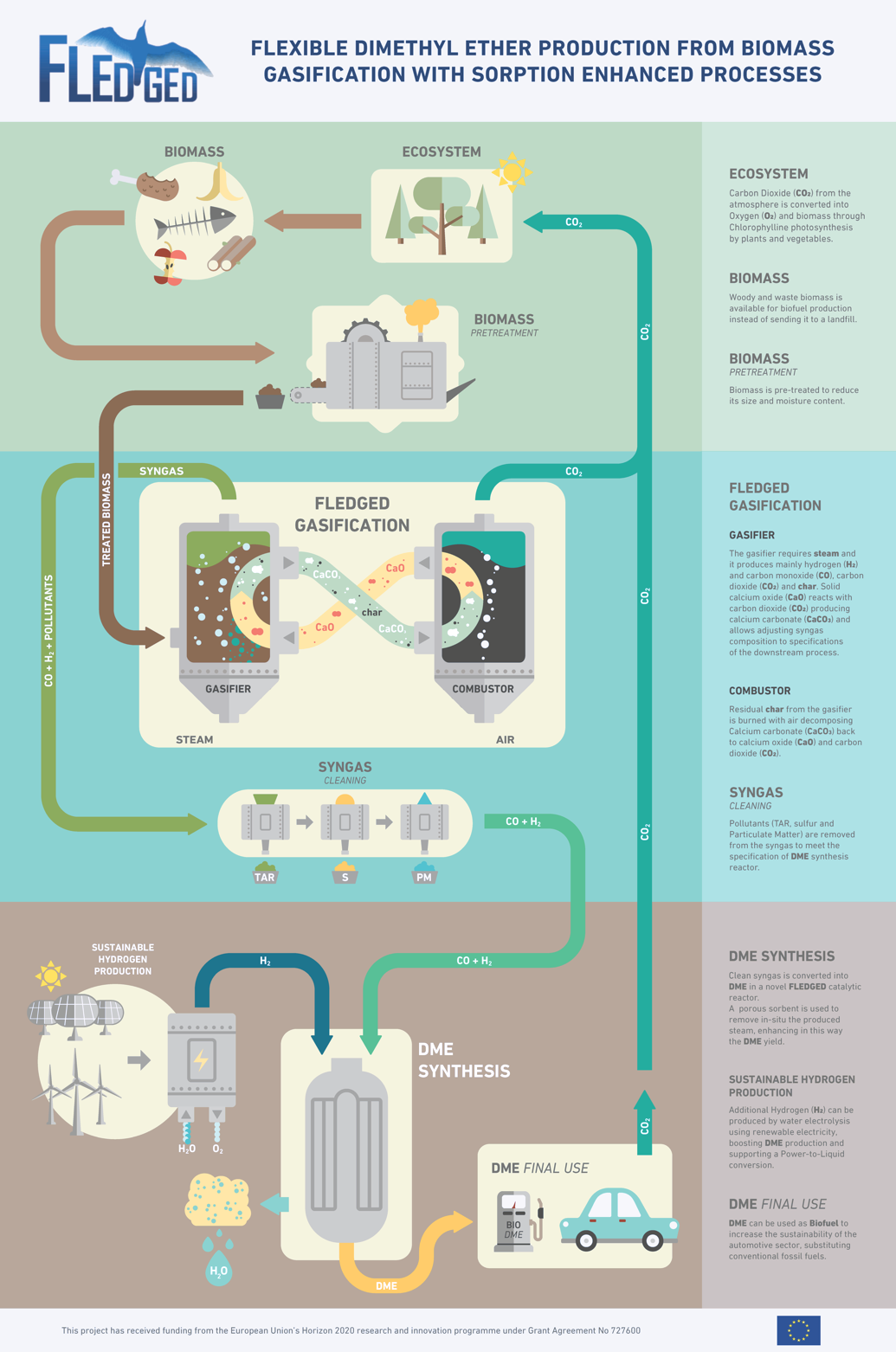 Il concept del progetto FLEDGED: dalla biomassa al biocombustibile tramite un processo reso più efficiente dall’uso di sorbenti
