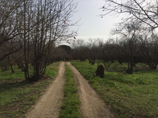 Via_francigena