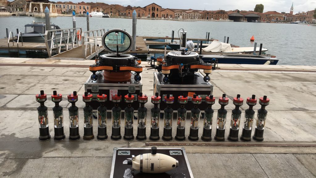 Pesci_radar_Venezia_1