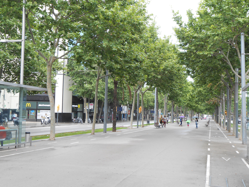 Tree planting nel quartiere @22 di Barcellona, Credits: M. B. Andreucci