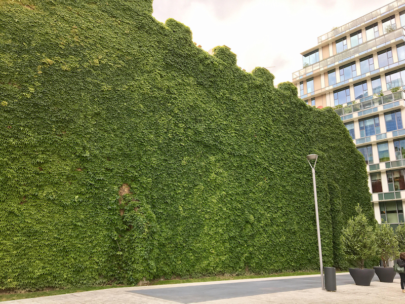 Green Wall nel quartiere Garibaldi a Milano, Credits: M. B. Andreucci