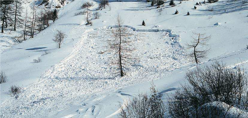 Foto 4 Valanga di versante, di superficie e a lastroni