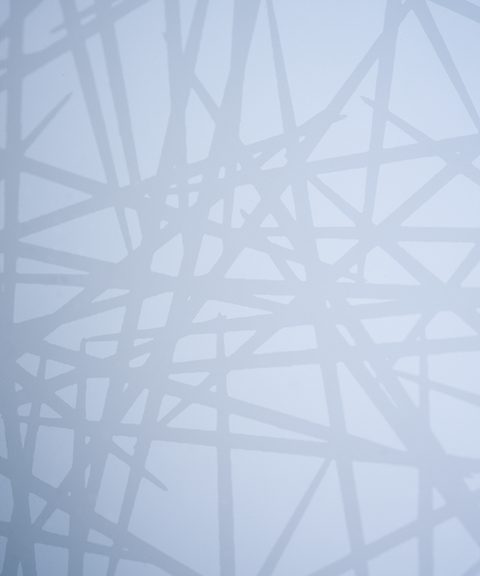 Ornilux - Mikado - Visto dagli uccelli © Arnold Glas
