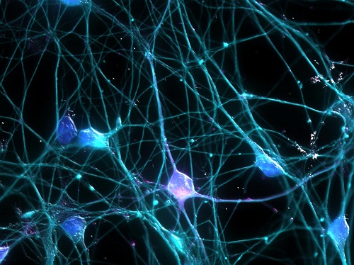 Rete-neurale-colori