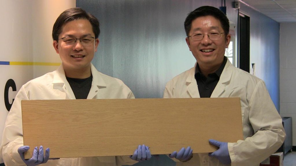 Prof. Liangbing Hu (sx) e Prof. Teng Li (dx) - courtesy University of Maryland
