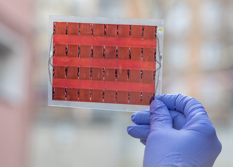 © Laserlab Europe