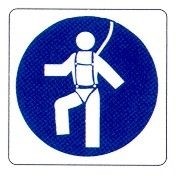E’ obbligatoria la cintura di sicurezza