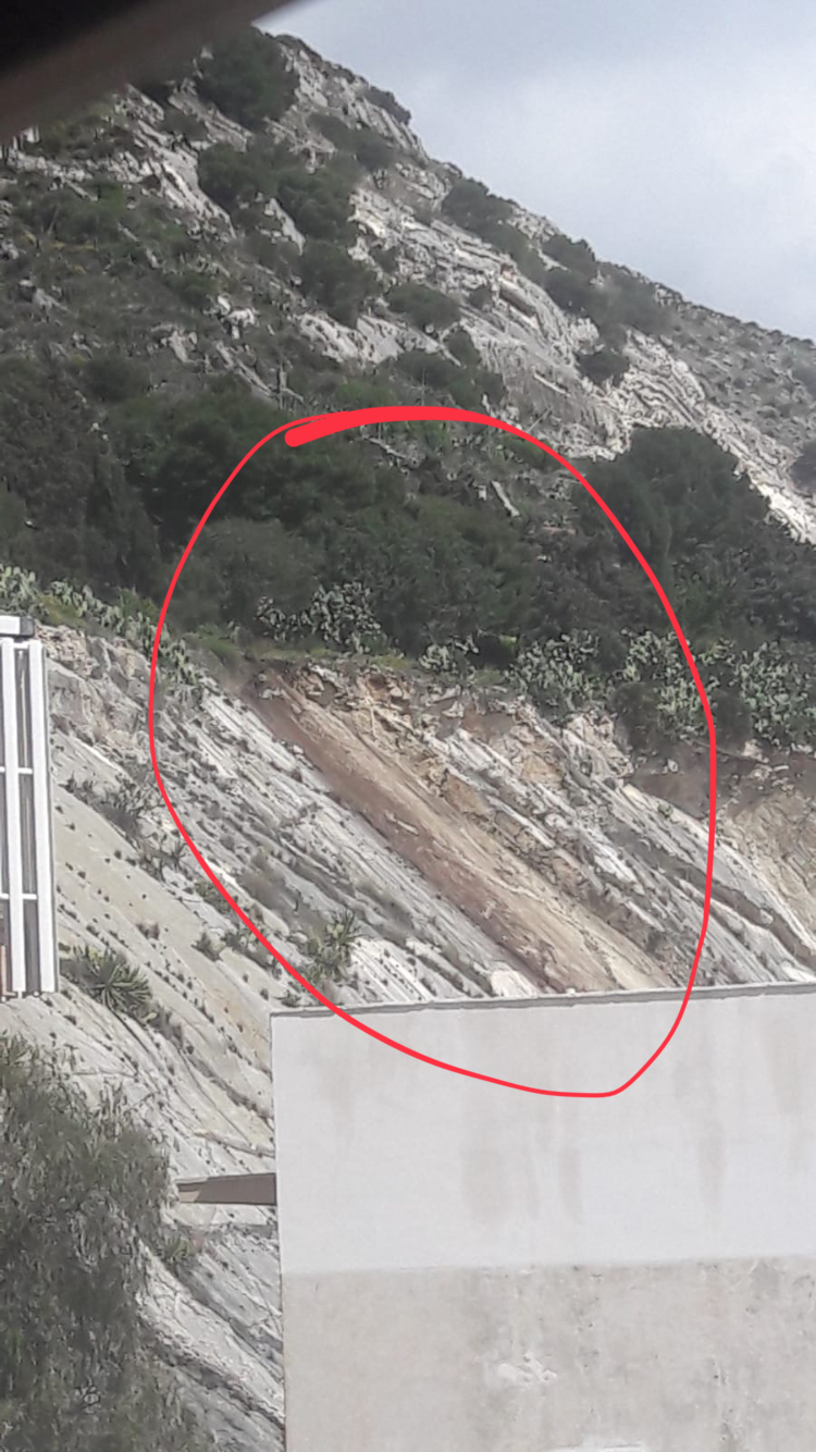 Figura 2 - Particolare del distacco (Fonte: Criscienti)