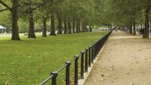 Cittadino albero, la Compagnia di San Paolo sostiene le aree verdi urbane Cittadino albero, la Compagnia di San Paolo sostiene le aree verdi urbane