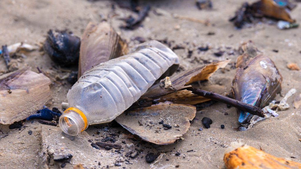 Beach pollution. Plastic bottles and other trash on sea beach