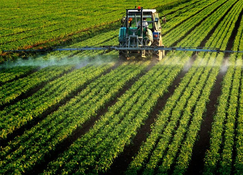 Campo agricolo_pesticidi