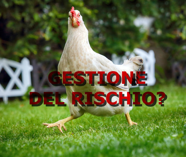 gestione-rischio-pollo