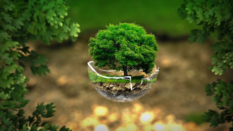 valutazione-impatto-ambientale-ricorso-regioni