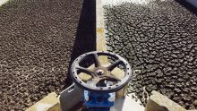 Depurazione dei reflui, il progetto green del Polimi Depurazione dei reflui, il progetto green del Polimi